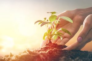 Semaine de l'environnement
