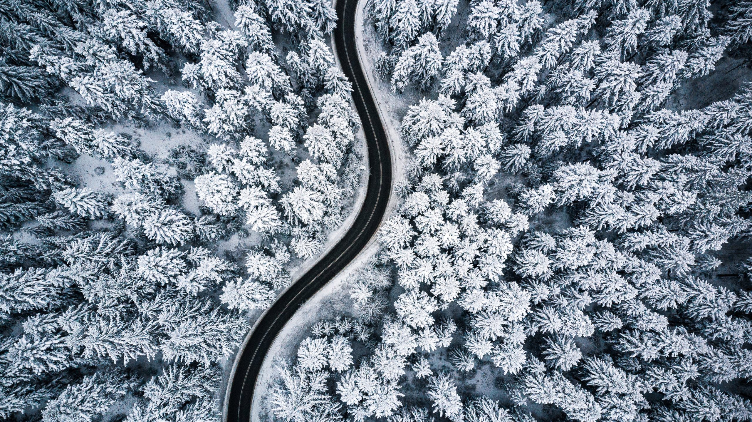 Route en hiver - sel déglaçant